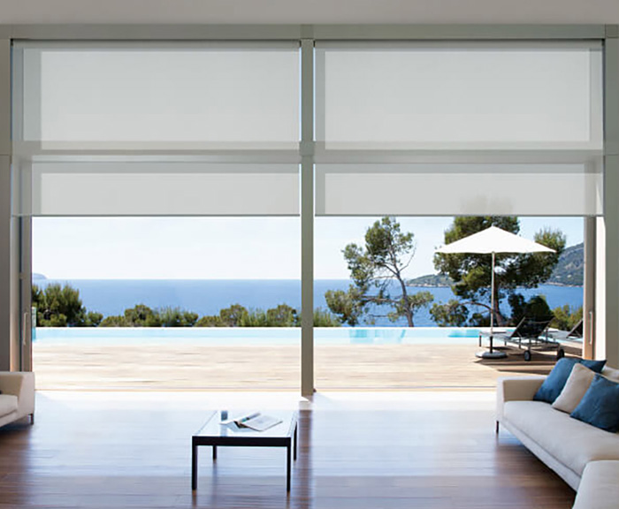 blinds